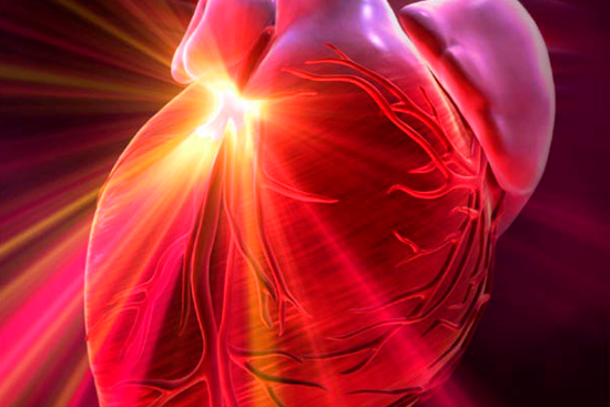 Миксома сердца: чем грозит опухоль и как предотвратить ее развитие?