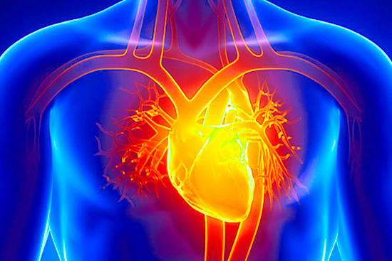 Гипертрофическая кардиомиопатия: специфика протекания, виды, методы лечения и профилактики