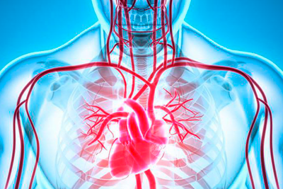 Причины и лечение заболеваний сердца
